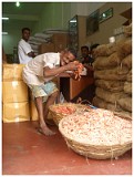 Fresh Shrimps, Sri Lanka